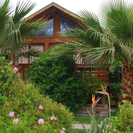 Cabanas Barrachina, Punta De Tralca Hotel El Quisco Exterior foto